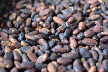 Coffee Beans Detail