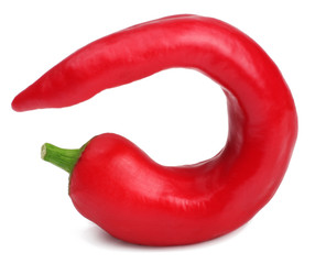 Pepper bitter on white background isolated
