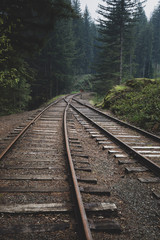 Fototapeta premium Train Track in Yacolt 