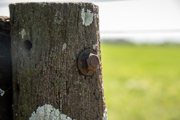 Rusty old screw on an aged wood with moho and a shallow depth of field of a countryside landscape