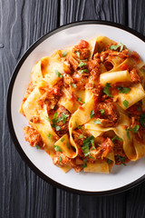 Pasta with Braised Pork Shoulder Ragu close-up on a plate on the table. Vertical top view