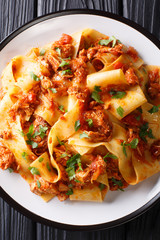 Taccozzette con Stracotto (pasta with braised pork ragu) close-up on a plate on the table. Vertical top view