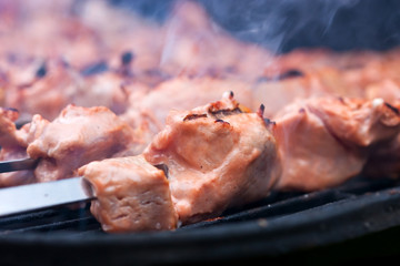 Grill on charcoal and flame, picnic, street food