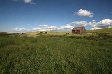 Fototapeta na wymiar barn in the field