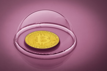 Bitcoin in a soap bubble on purple background