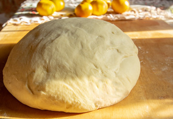yeast dough for stollen