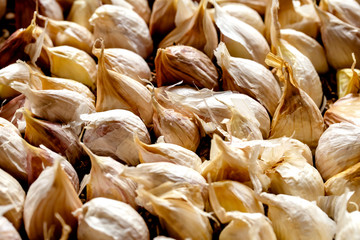 並んだにんにく