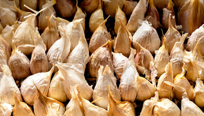 沢山のニンニク