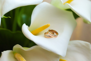 gold rings and callas.