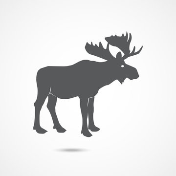 Elk flat icon