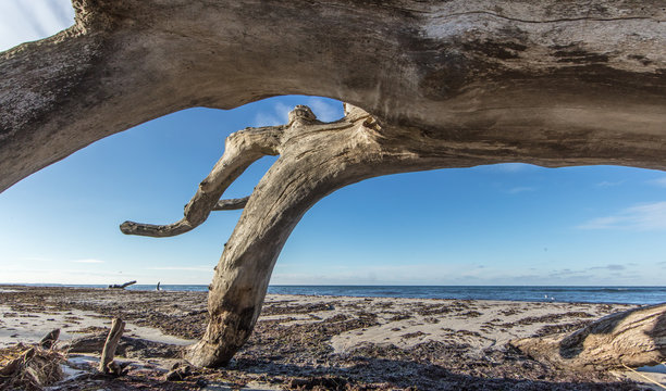 wilder strand