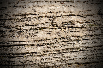 Background of Layered Rock - Stone of Lessinia Italy
