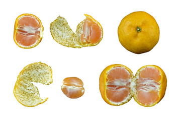set of orange fruit isolated on white background