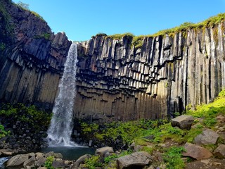 Wonderful and high Svartifoss waterfall with black basalt columns on South Iceland, summer time