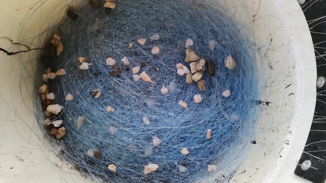Close-up of a fisherman's hands unraveling a coiled longline from a bucket for commercial fishing