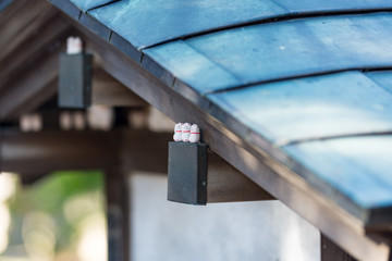 豪徳寺の招き猫