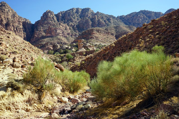 Wadi in Dana national park