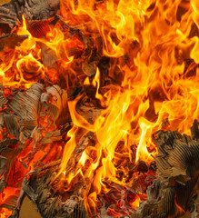 fire of burning carton paper
