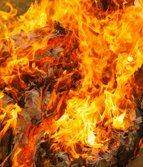 fire of burning carton paper