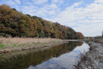 日本 秋の武蔵嵐山渓谷