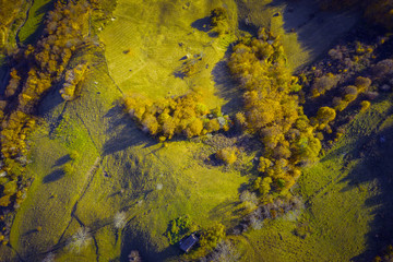 Aerial view of autumn forest and green meadow