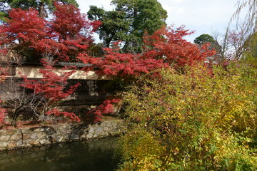 日本の倉敷の秋の風景