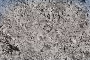 creative vintage fungus on stone texture - fantastic abstract photo background