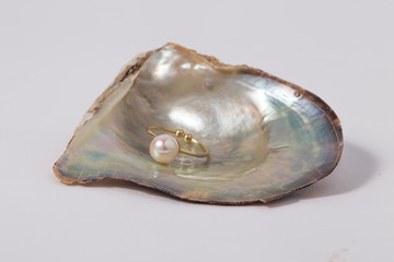 Oyster shell with pink pearl ring