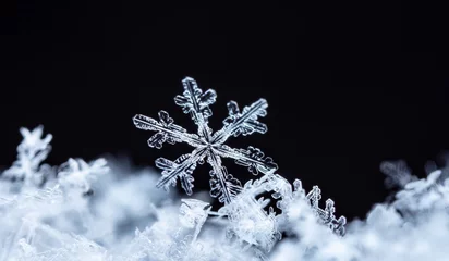 Fotobehang natural snowflakes on snow, winter © vadim_fl