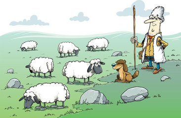 Shepherd with a flock of sheep