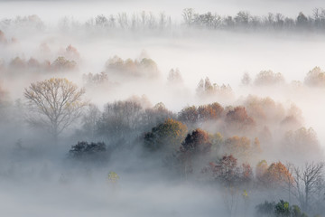 Paesaggio autunnale con nebbia e foschie, Lombardia, Italia - 235094033