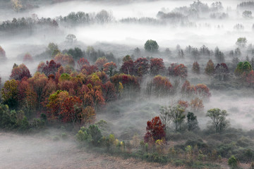 Jesień krajobraz z mgłą i mgłami, Lombardy, Włochy - 235094213