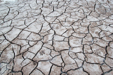 Soil Crack in River