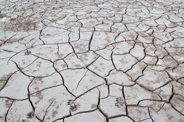 Soil Crack in River