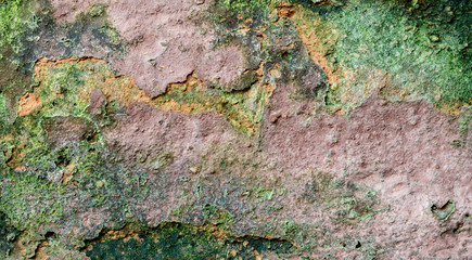 Green moss covered stone texture, background