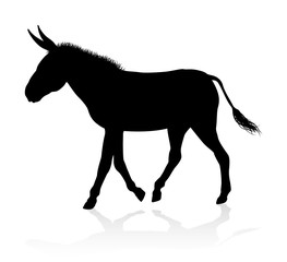Fototapeta na wymiar A detailed high quality donkey farm animal silhouette