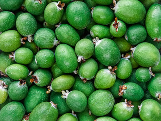 many feijoa food background