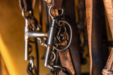 Leather horse bridles and bits hanging on a stable