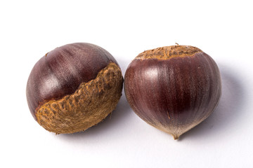 Chestnut on white.