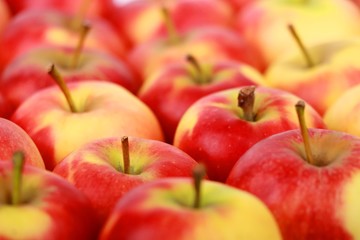 Group of fresh red natural apples -  Fresh organic fruit. 
