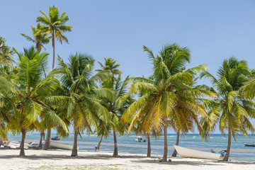 Naklejka na ściany i meble White boat under palm trees on a Caribbean beach. Fishing village