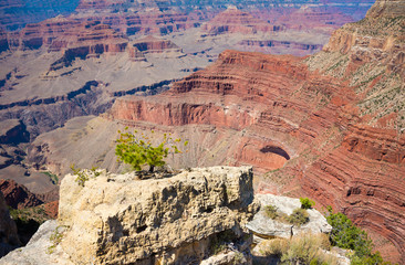 Grand Canyon in Arizona, USA