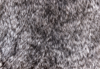 rabbit fur close up grey texture background material