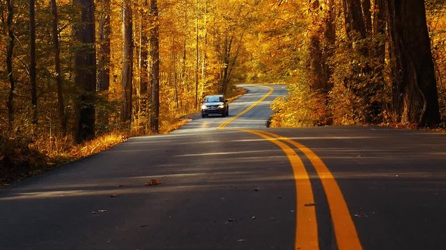 Car coming down winding country road in beautiful fall colors.