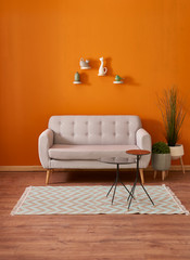 Orange room decoration with sofa and coffee table with green plant.