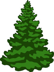 Fototapeta na wymiar Green Christmas tree on a white background 