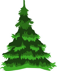 Green Christmas tree on a white background
