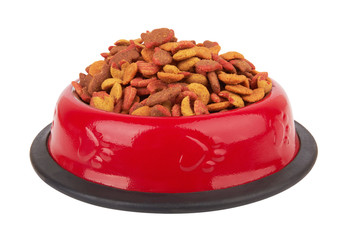 Pet food in bowl.