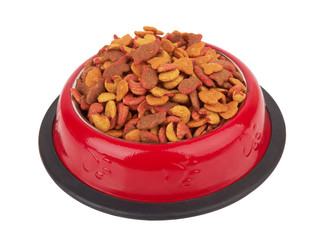 Pet food in bowl.