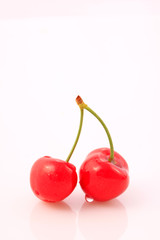 Mature large American cherry on a white background